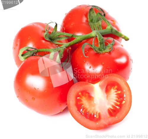 Image of Bunch of fresh tomatoes with water drops
