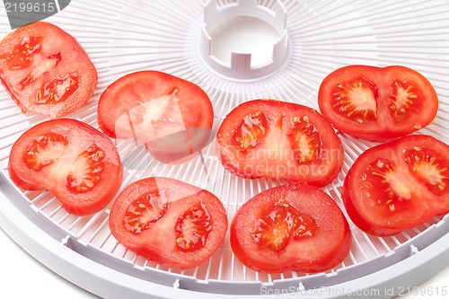 Image of Fresh tomato on food dehydrator tray, ready to dry