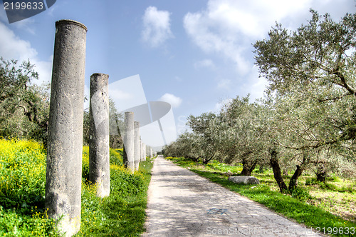 Image of Sebastia archeology ancient ruins