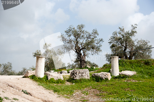 Image of Sebastia archeology ancient ruins