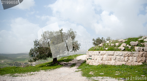 Image of Sebastia archeology ancient ruins