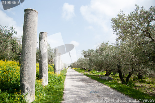 Image of Sebastia archeology ancient ruins