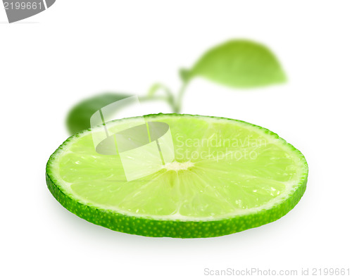 Image of Slice of fresh lime