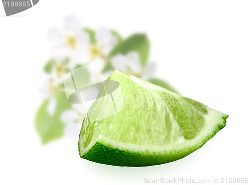 Image of Part of fresh lime