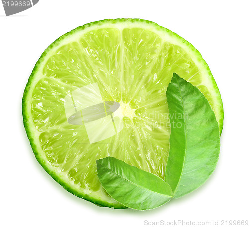 Image of Slice of fresh lime