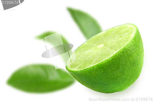 Image of Half of fresh lime