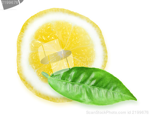Image of Slice of yellow lemon and green leaf