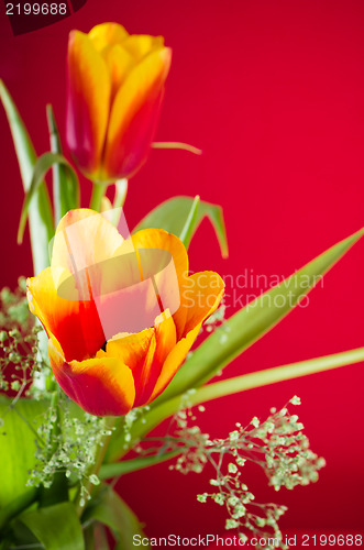 Image of Bouquet of yellow-red tulips on a red background