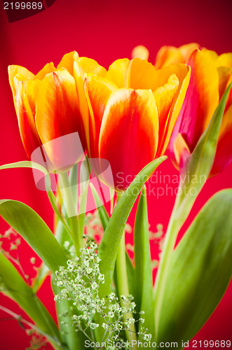 Image of Bouquet of yellow-red tulips on a red background