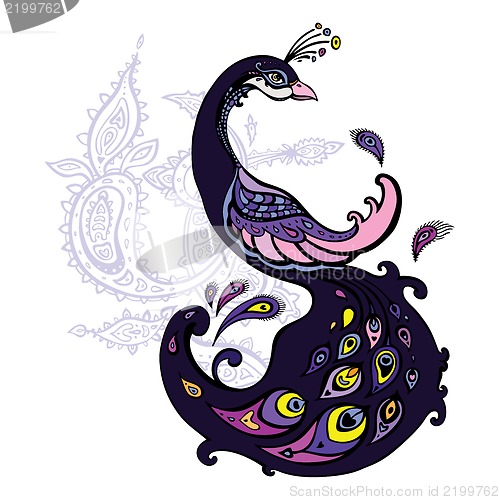 Image of Peacock. Decorative Vector illustration.