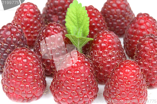 Image of Raspberries closeup