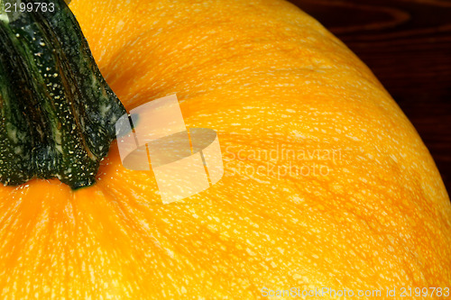 Image of Pumpkin close up