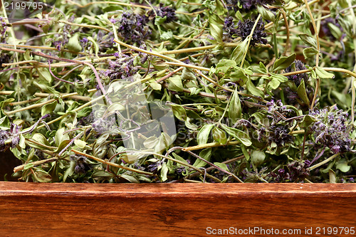 Image of Dried thyme bowl