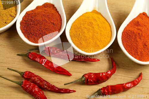 Image of Spices and chili peppers