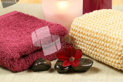 Image of Spa and wellness therapy