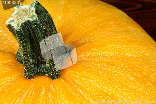 Image of Pumpkin
