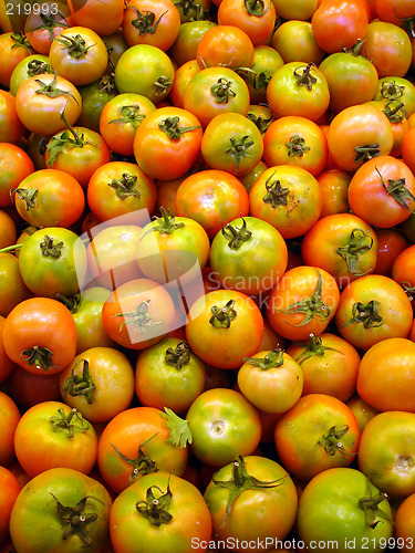 Image of Tomato background