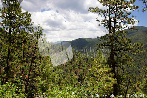 Image of Treasures of New Mexico