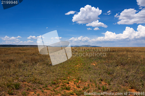 Image of Treasures of New Mexico