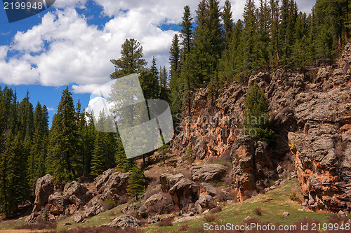 Image of Treasures of New Mexico