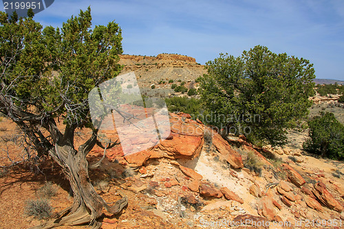 Image of Treasures of New Mexico