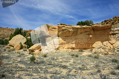 Image of Treasures of New Mexico