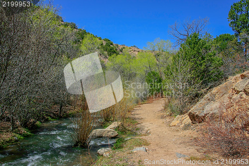 Image of Treasures of New Mexico