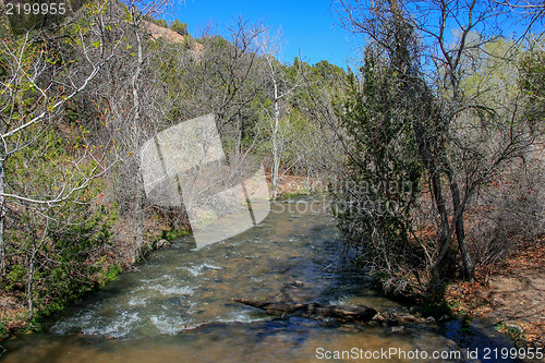 Image of Treasures of New Mexico