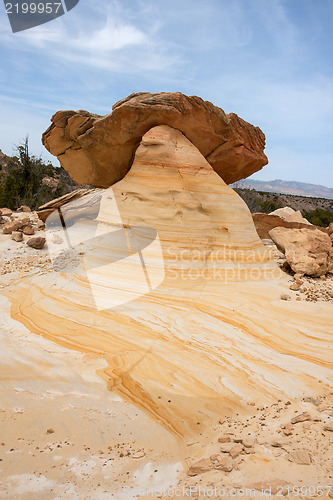 Image of Treasures of New Mexico