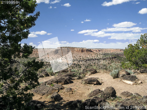 Image of Treasures of New Mexico