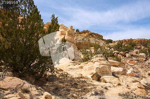 Image of Treasures of New Mexico