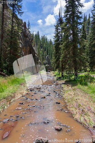 Image of Treasures of New Mexico