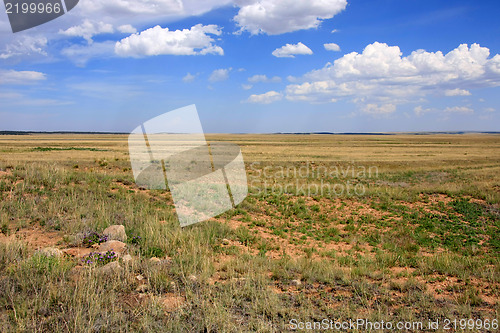 Image of Treasures of New Mexico