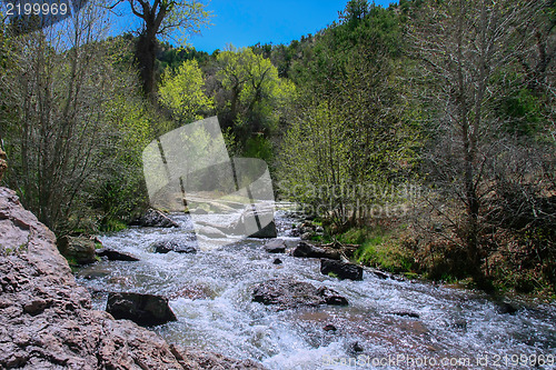 Image of Treasures of New Mexico