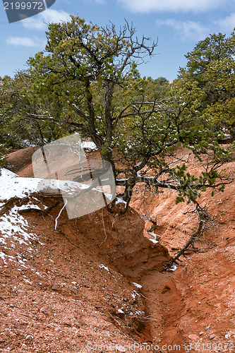 Image of Treasures of New Mexico