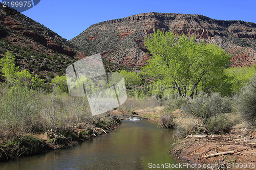 Image of Treasures of New Mexico