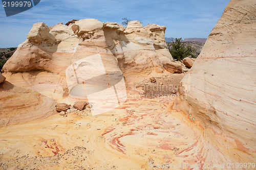 Image of Treasures of New Mexico