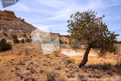 Image of Treasures of New Mexico