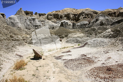 Image of Treasures of New Mexico