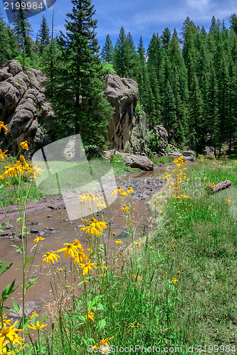 Image of New Mexican alpine landscape with river and flowers