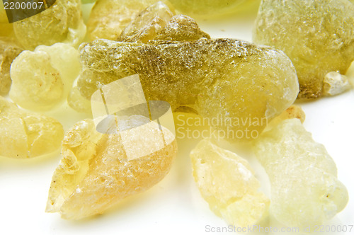 Image of Olibanum, Boswellia serrata