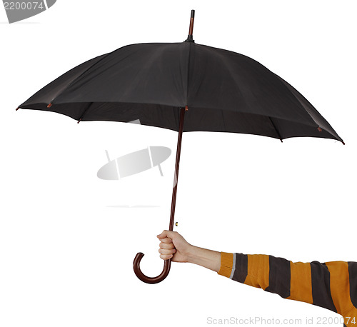 Image of Big umbrella