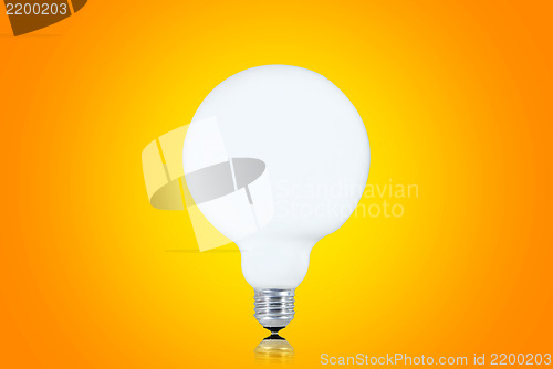 Image of White bulb