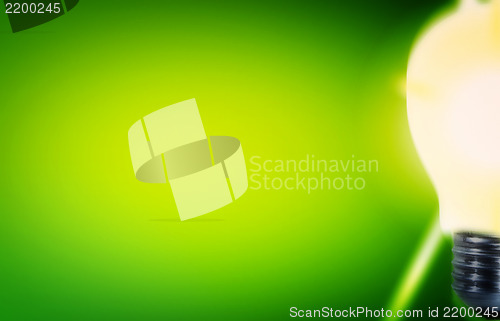 Image of White bulb