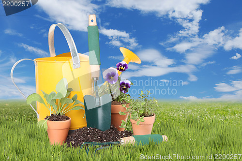 Image of Flowers and Herbs planted in Spring Time