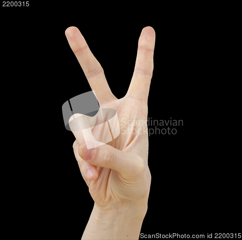 Image of White hand on black