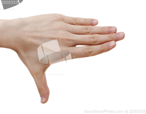 Image of Hand isolated on white