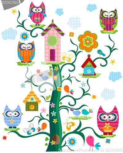 Image of owl`s tree