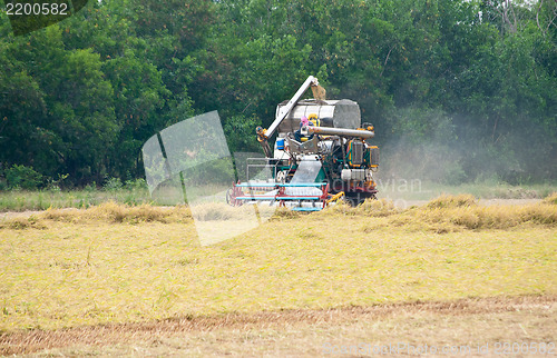 Image of Rice Harvest Truck 