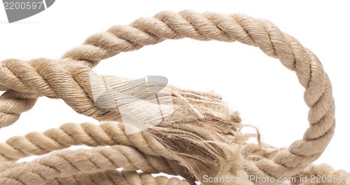 Image of ship rope and knot isolated on white background